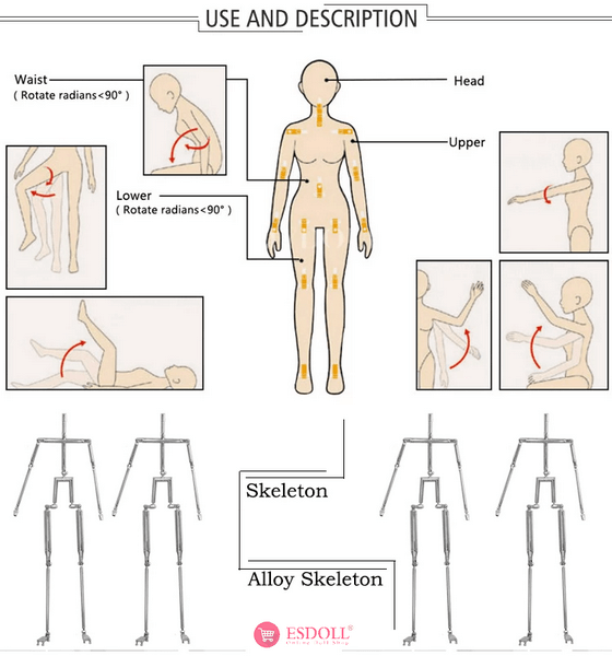 steel skeleton for sex doll